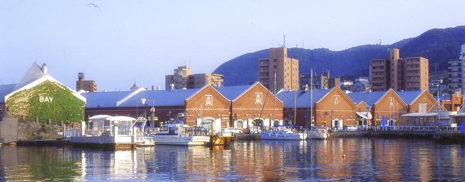 函館市　香雪園